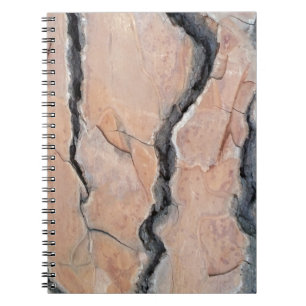 Aleppo pine notebook
