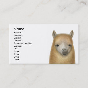 Alert Alpaca Business Card