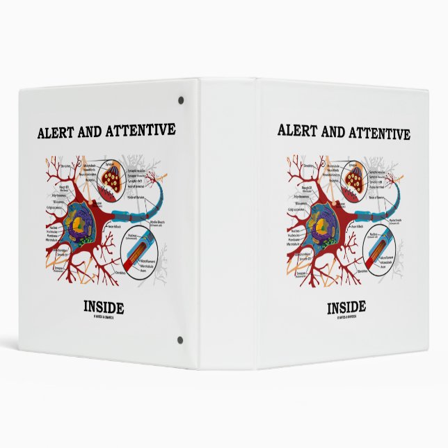 Alert And Attentive Inside Neuron Synapse Humour Binder (Background)