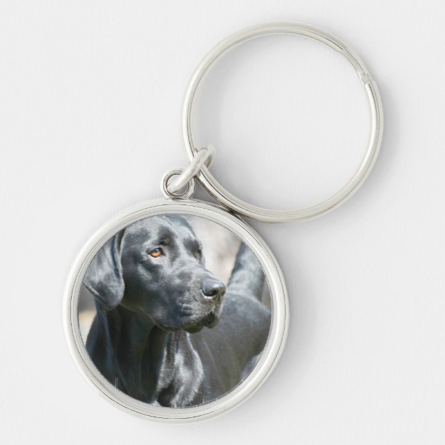 Alert Black Lab Keychain (Front)