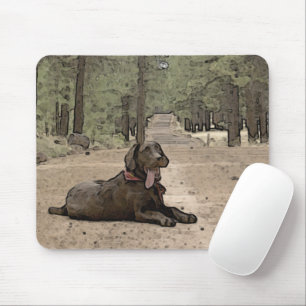 Alert Chocolate Lab On A Forest Trail Artwork Mouse Pad