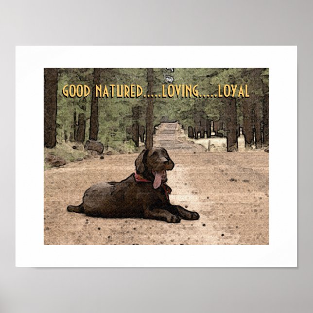 Alert Chocolate Lab On A Forest Trail Custom Text Poster (Front)