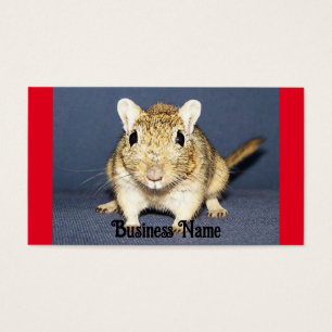 Alert Gerbil Business Card