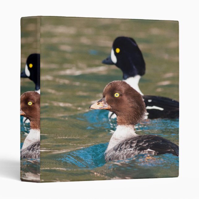 Alert Goldeneye Binder (Front/Spine)