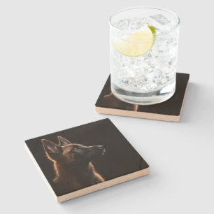 Alert Guardian Stone Coaster