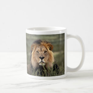 Alert Lion Coffee Mug
