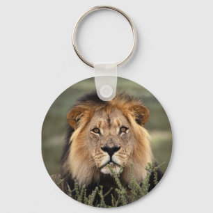 Alert Lion Keychain