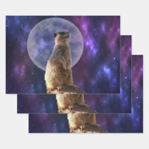 Alert Meerkat On Night Watch, Gift Wrap Sheets,