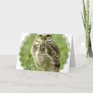 Alert Owl Greeting Card