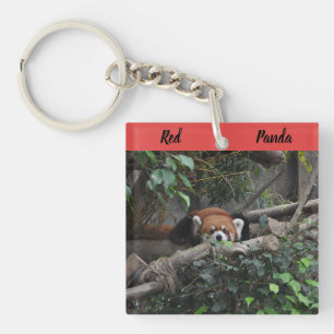Alert Red Panda in a zoo Keychain