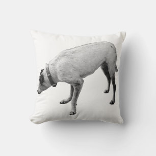Alert Spirit of Fall Throw Pillow