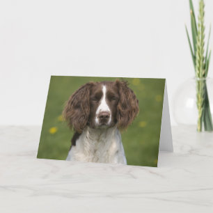 Alert springer card