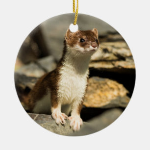 Alert Weasel Ceramic Ornament