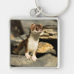 Alert Weasel Keychain