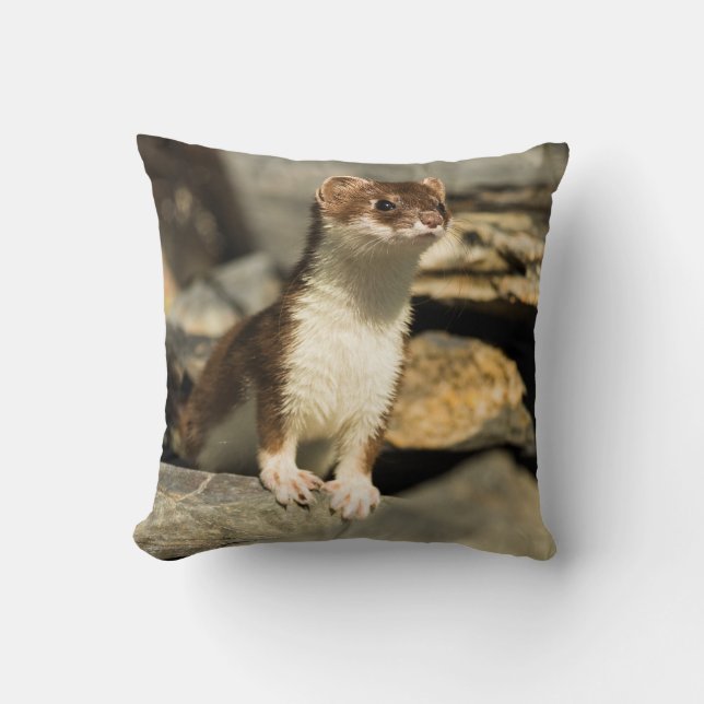 Alert Weasel Throw Pillow (Front)