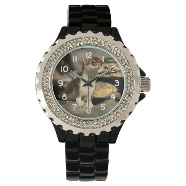 Alert Weasel Watch (Front)
