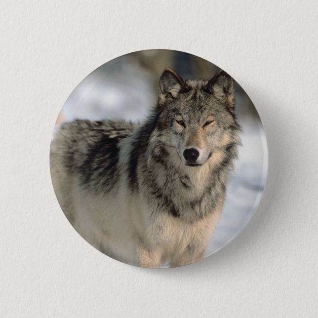 Alert Wolf 2 Inch Round Button (Front)