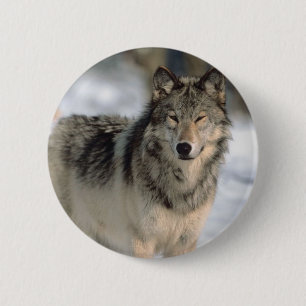 Alert Wolf 2 Inch Round Button