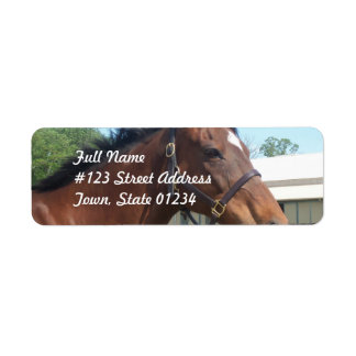 Alerte Arabian Horse Retourner Adresse Étiquette
