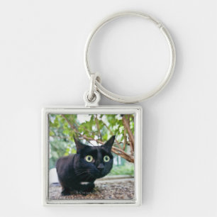 alerted cat hiding under bush. keychain
