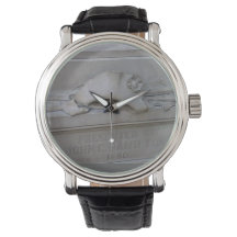 Alexander Hamilton monument watch