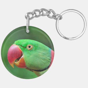 Alexandrine Parakeet Keychain