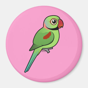 Alexandrine Parakeet Magnet