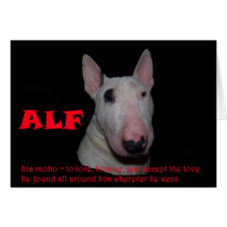 ALF accepter l'amour