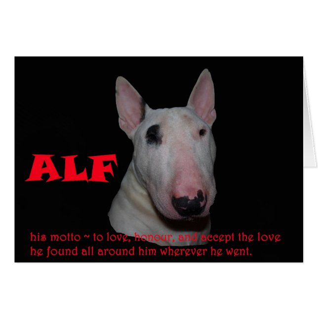 ALF accepter l'amour (Devant horizontal)