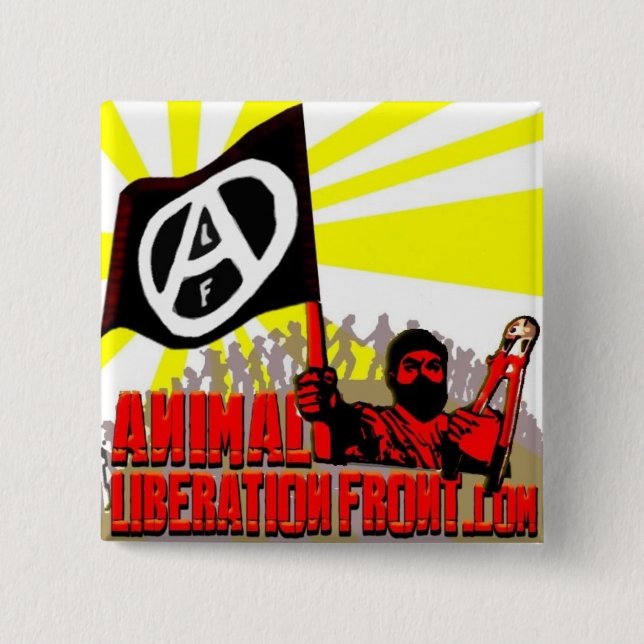 ALF.com 2 Inch Square Button (Front)