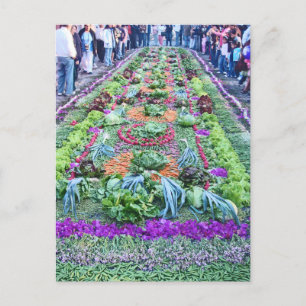 alfombra 16 postcard