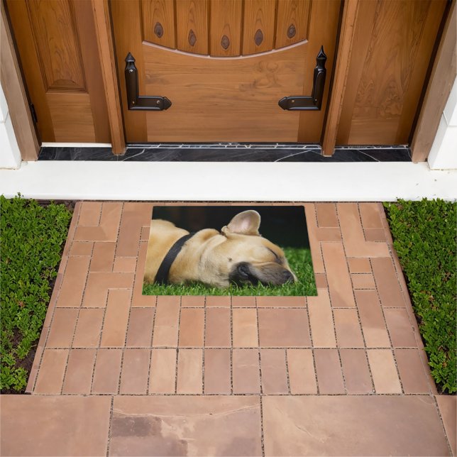 Alfombra de perro para hogar doormat (Outdoor)