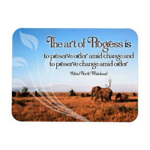 Alfred North Whitehead Inspirational Quote Magnet