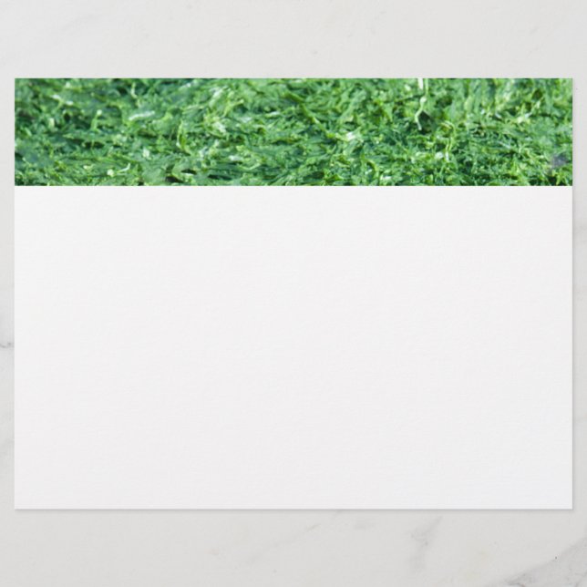 Algae green background (Front)