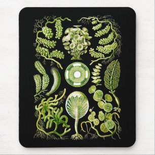 Algae Mouse Pad