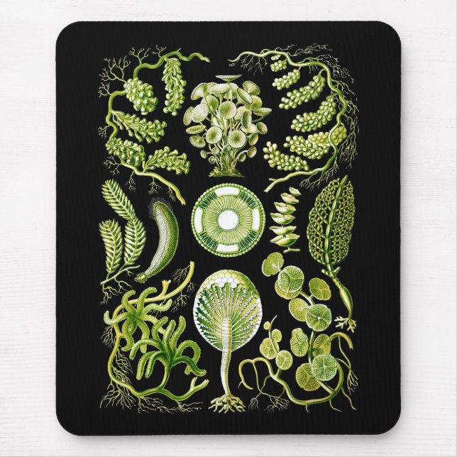 Algae Mouse Pad (Front)