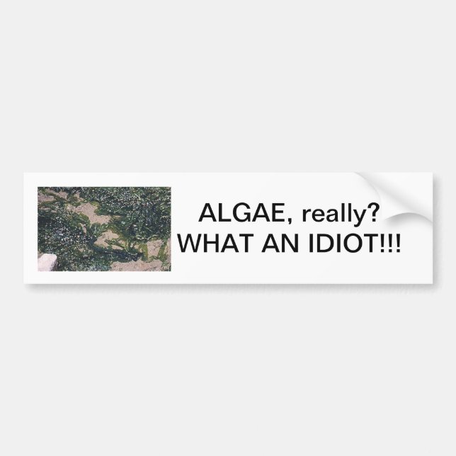 Algae our saviour bumper sticker (Front)