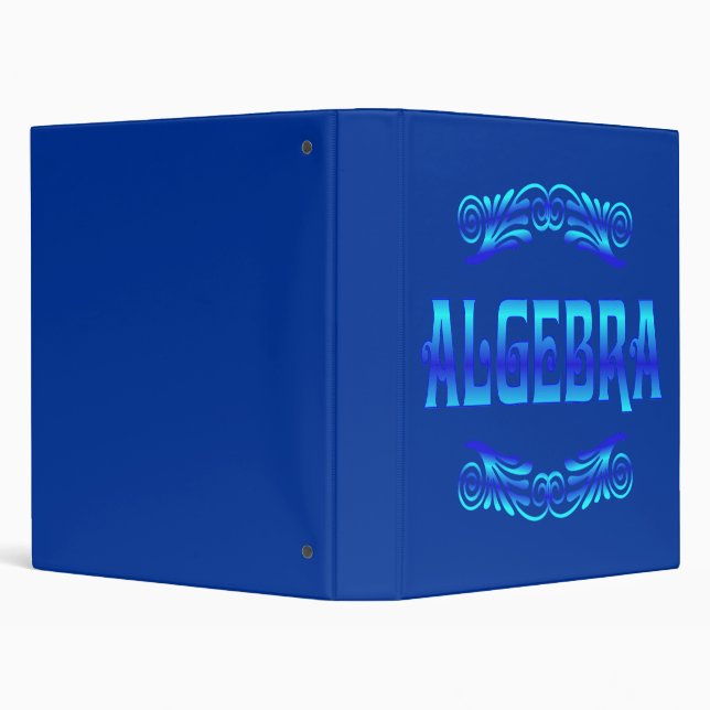 ALGEBRA BINDER (Background)