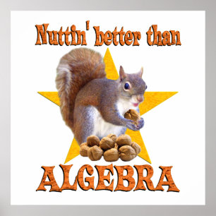 Algebra Squirrel Poster