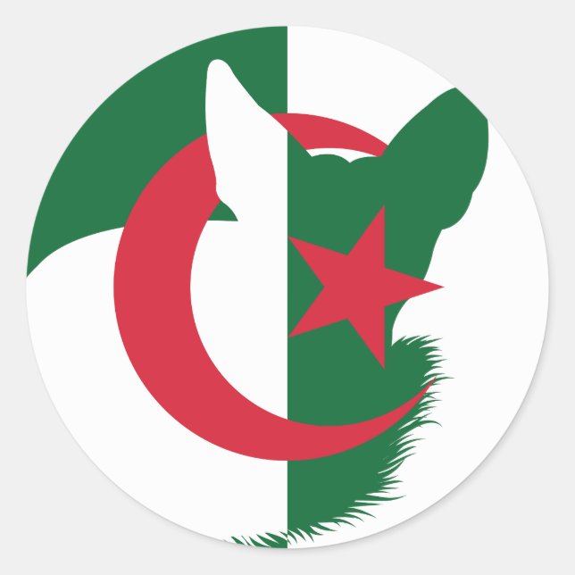Algeria Fennec Fox Algerian National Animal Flag Classic Round Sticker (Front)