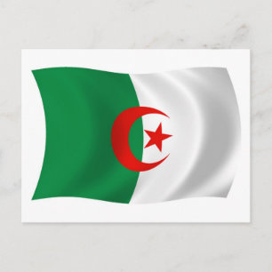 Algeria Flag Postcard