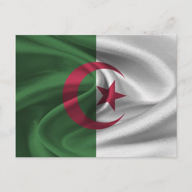 Algeria Flag Postcard (Front)