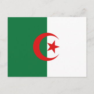 Algeria Flag Postcard