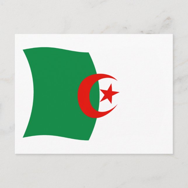 Algeria Flag Postcard (Front)