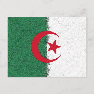Algeria Postcard
