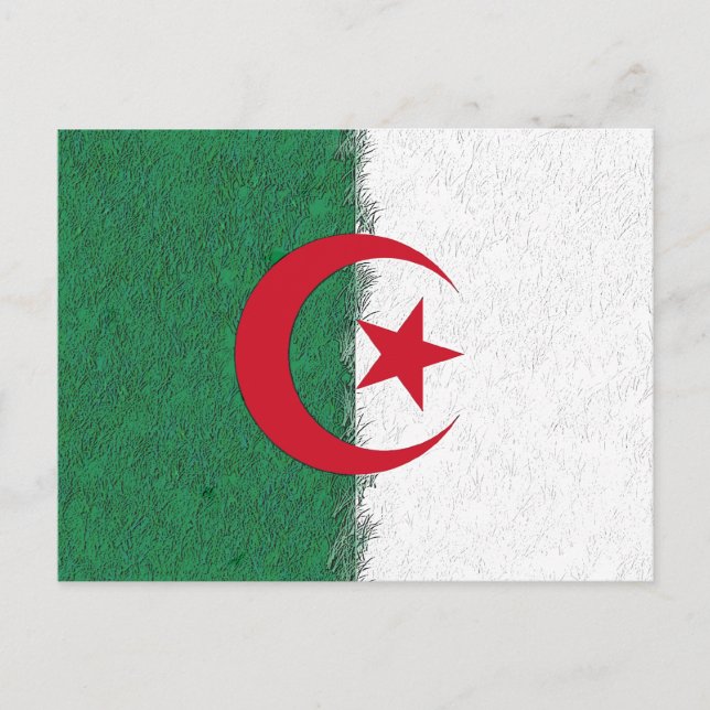 Algeria Postcard (Front)