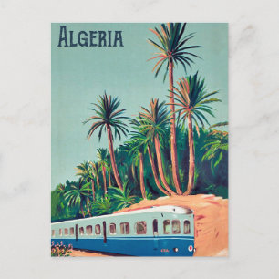 Algeria, Train Passing the Palm trees Postcard