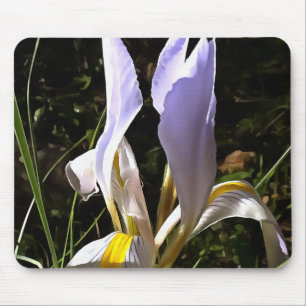 Algerian Iris Hyperrealistic Wildflower Painting Mouse Pad
