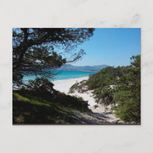 Alghero, Sardinien - Postkarte Postcard