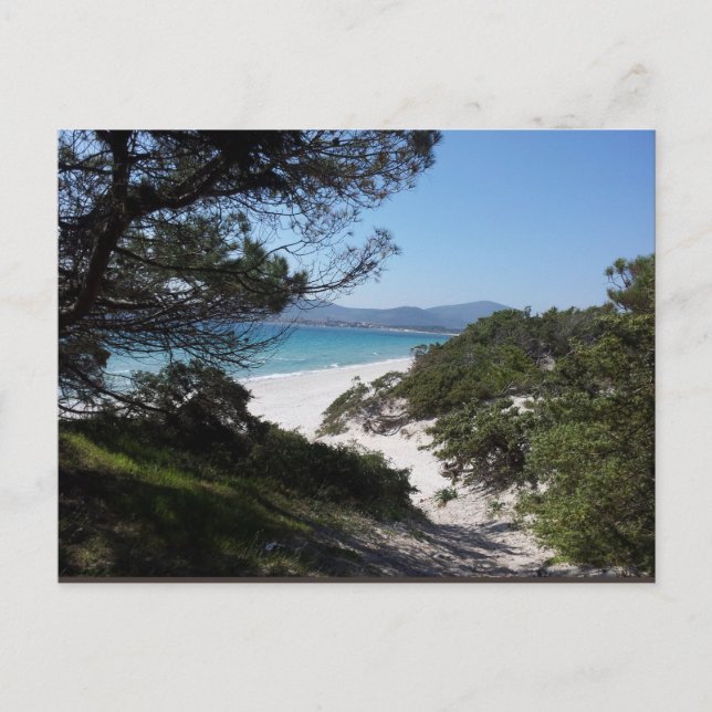 Alghero, Sardinien - Postkarte Postcard (Front)